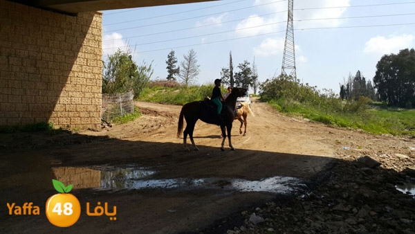 roben tabee3ar (27).JPG